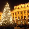 "Новогодние выходные в Вене"  фото 1