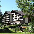 Sunstar Alpine Hotel Grindelwald фото 13