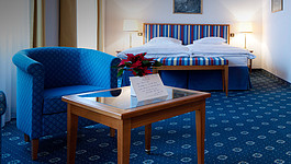 Grand Hotel Regina Eiger Room