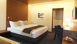 Signina Hotel Double Room North  