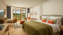 Burgenstock Hotels & Resort  Waldhotel5* /  standart room