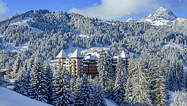 The Alpina Gstaad The Alpina Residence