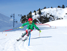 Обучение + лыжи в международной школе Pre Fleuri  фото 4